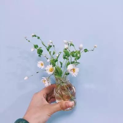 荡仙诀内购破解版下载